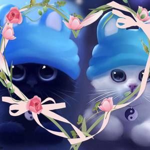 Meet your Posher, Bobbi